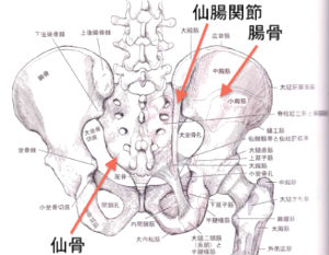 ギックリ腰になる本当の原因この2つだけ知っておけばいい!