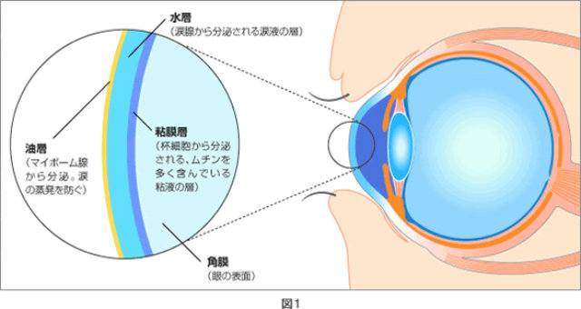 目を洗うのはよくないと言われるけどコンタクトレンズの人は絶対に洗った方がいい