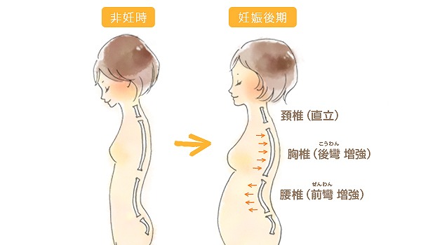 なぜ妊婦の『太ももの前』を伸ばすと腰痛に効くのか?