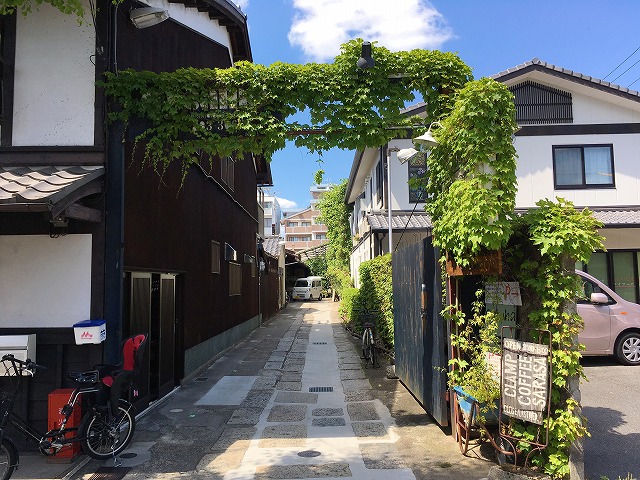 「cotoha(コトハ)」京都で観葉植物なら”絶対に”ここがおすすめ!