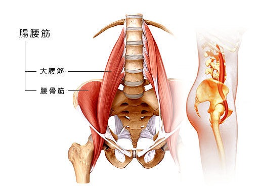 腸腰筋が腰痛の原因!?腸腰筋による痛みの原因と簡単にできるストレッチを紹介
